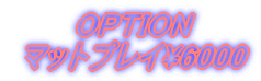 �@ OPTION �@�}�b�g�v���C 